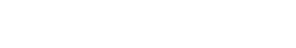 Protocosm